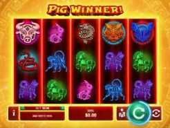 Pig Winner
